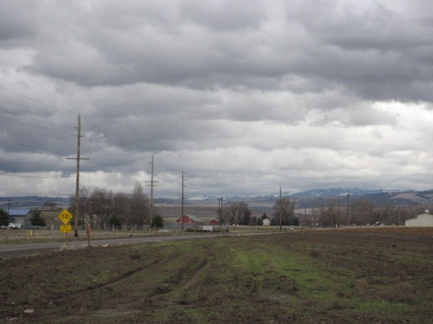 farm field east of Walla Walla