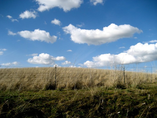 walla walla in spring walla walla in spring
