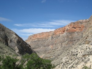 Bighorn National Forest